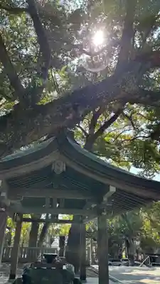 大麻比古神社(徳島県)