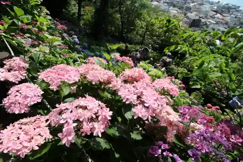 長谷寺(神奈川県)
