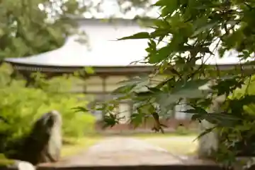 瑞祥庵の本殿・本堂