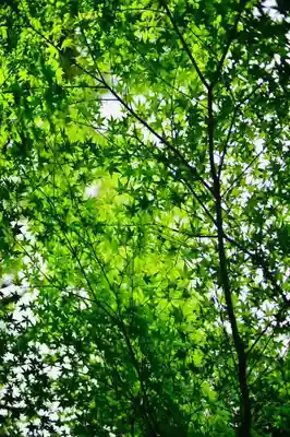 浄土寺(兵庫県)