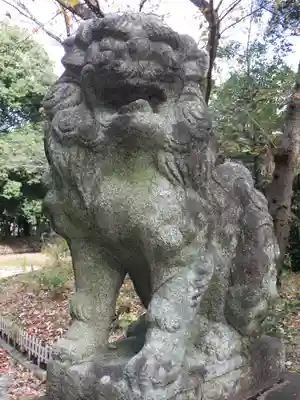 八幡社(柏井町)の狛犬