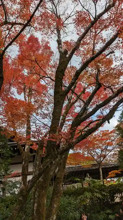 光悦寺(京都府)