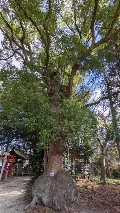 入見神社(愛知県)