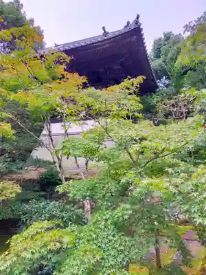 酬恩庵一休寺(京都府)
