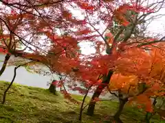 曼殊院門跡(京都府)