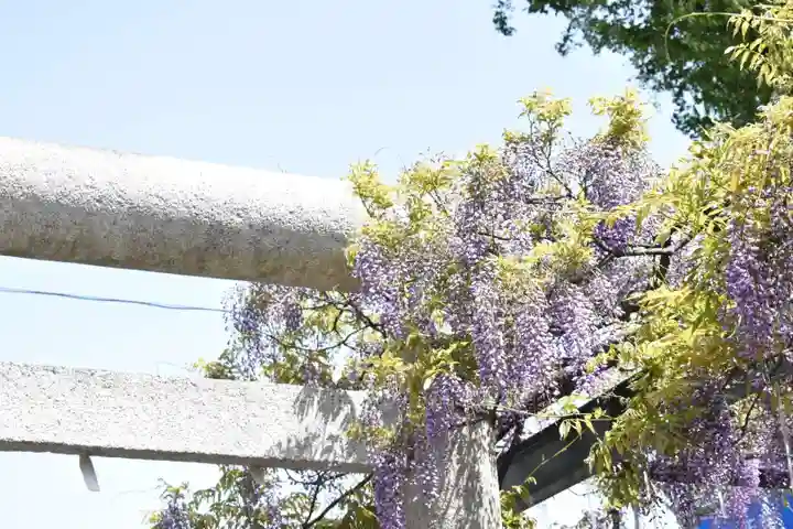 國領神社の自然