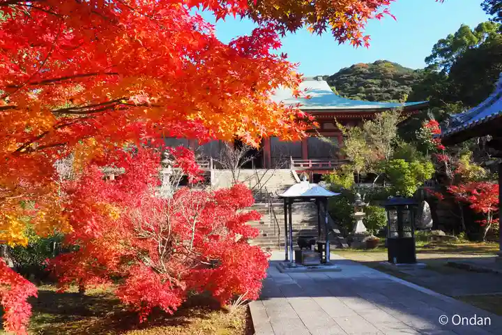 太山寺(兵庫県)