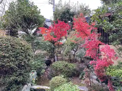 円常院(圓常院) enjoyntemple(京都府)