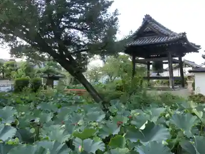 家原寺のその他建物
