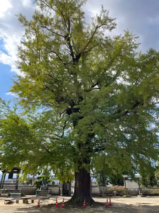 地蔵寺(徳島県)