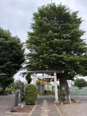 三社大神(千葉県)