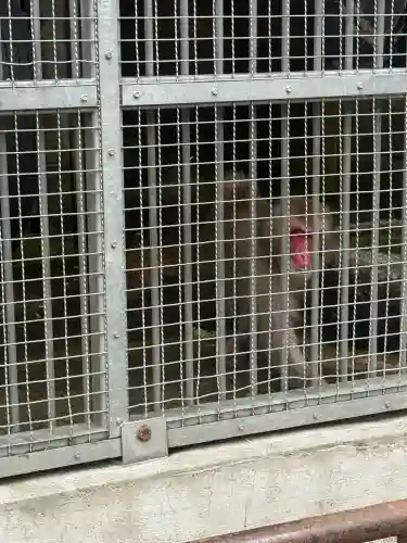 日吉大社の{uncategorized: "未分類", other: "その他", undefined: "問題あり", building: "その他建物", grave: "お墓", sacred_gate: "鳥居", guardian: "狛犬", statue: "像", buddha: "仏像", history: "歴史", nature: "自然", garden: "庭園", animal: "動物", pagoda: "塔", temizu: "手水舎", mountain_gate: "山門・神門", sanctuary: "本殿・本堂", subordinate: "末社・摂社", art: "芸術", scenery: "景色", jizo: "地蔵", ema: "絵馬", goshuin: "御朱印", omikuji: "おみくじ", items: "授与品その他", amulet: "お守り", goshuincho: "御朱印帳", eats: "食事", festival: "お祭り", votive_dance: "神楽", shichigosan: "七五三参", wedding: "結婚式", experience: "体験その他", initially: "初詣", around: "周辺", anti_infection: "感染症対策"}
