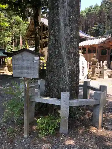 愛宕神社（阿多古神社）の歴史