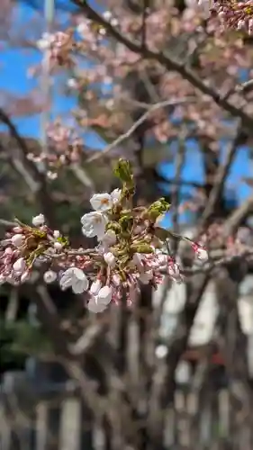 烈々布神社の自然