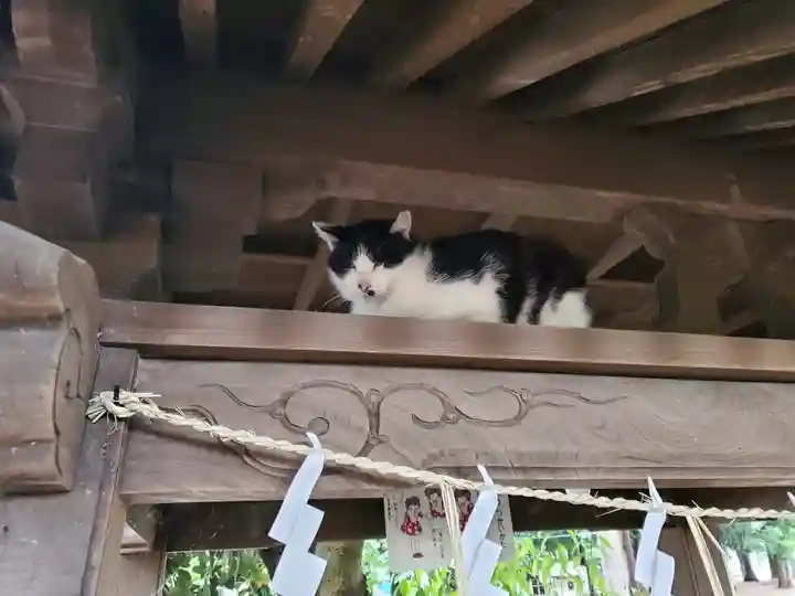 雀神社の動物