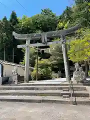 白山比咩神社の鳥居