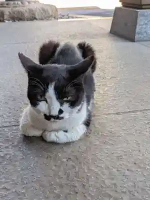 白金氷川神社(東京都)