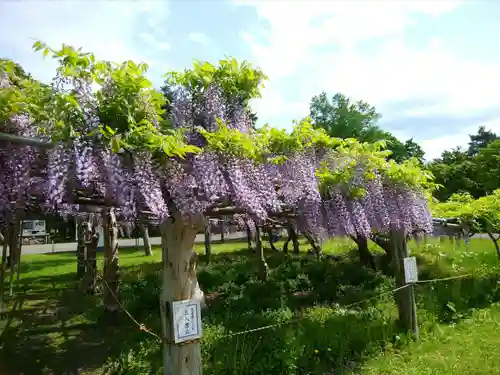 北海道護國神社の庭園