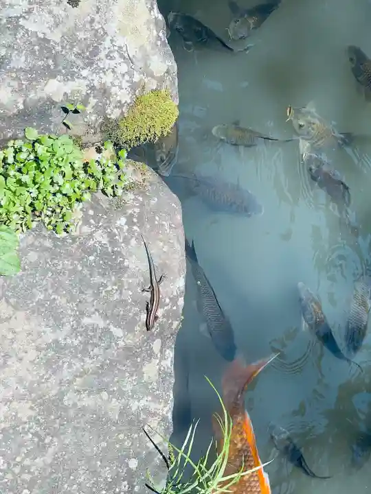 内々神社(愛知県)