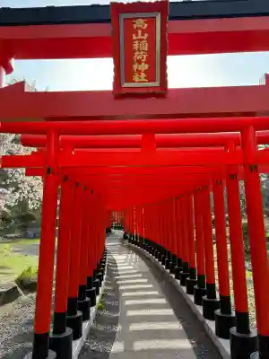 高山稲荷神社の{uncategorized: "未分類", other: "その他", undefined: "問題あり", building: "その他建物", grave: "お墓", sacred_gate: "鳥居", guardian: "狛犬", statue: "像", buddha: "仏像", history: "歴史", nature: "自然", garden: "庭園", animal: "動物", pagoda: "塔", temizu: "手水舎", mountain_gate: "山門・神門", sanctuary: "本殿・本堂", subordinate: "末社・摂社", art: "芸術", scenery: "景色", jizo: "地蔵", ema: "絵馬", goshuin: "御朱印", omikuji: "おみくじ", items: "授与品その他", amulet: "お守り", goshuincho: "御朱印帳", eats: "食事", festival: "お祭り", votive_dance: "神楽", shichigosan: "七五三参", wedding: "結婚式", experience: "体験その他", initially: "初詣", around: "周辺", anti_infection: "感染症対策"}