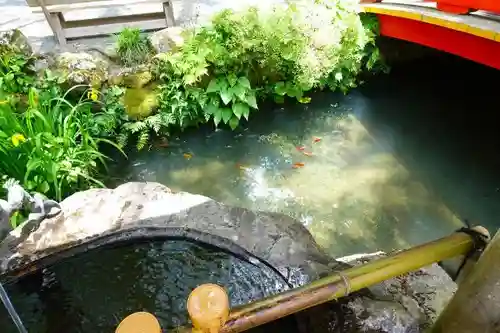 天河大辨財天社の手水舎