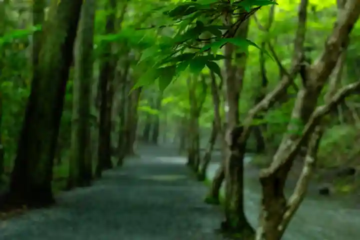 小國神社(静岡県)