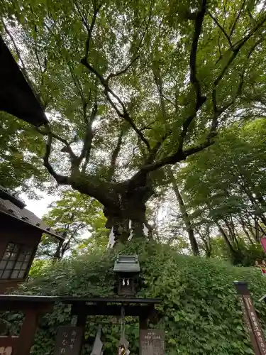 熊野皇大神社(長野県)
