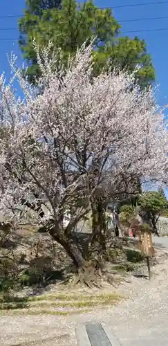 座光如来寺（元善光寺）の庭園