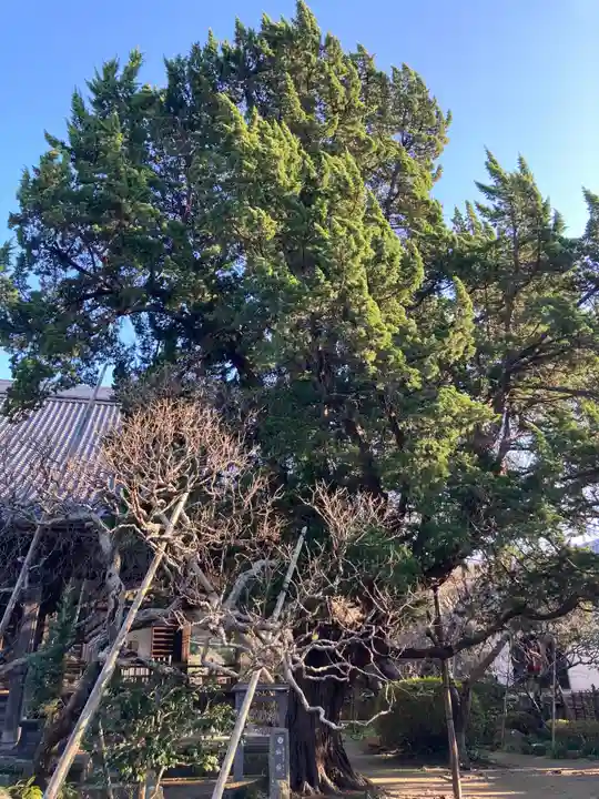 宝戒寺(神奈川県)