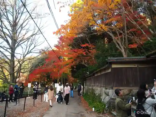 光明寺瑠璃光院(京都府)