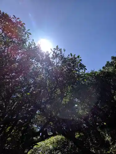 椿大神社(三重県)