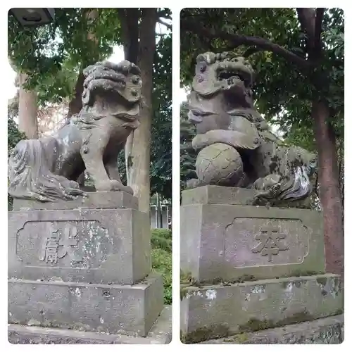 中野氷川神社の狛犬