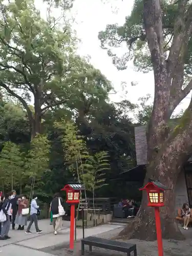 來宮神社(静岡県)