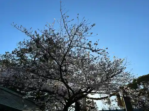 伊勢山皇大神宮の自然