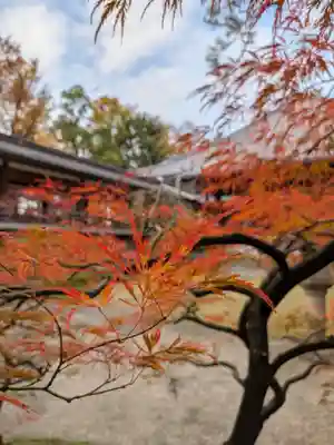 妙法寺(東京都)
