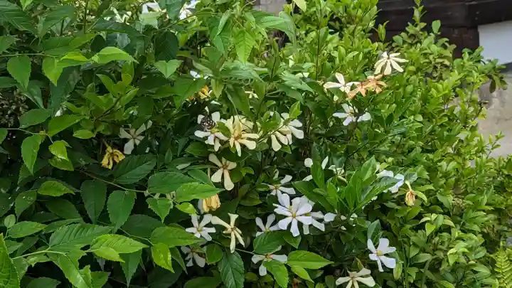 東北院(京都府)