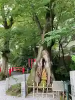 秩父今宮神社(埼玉県)
