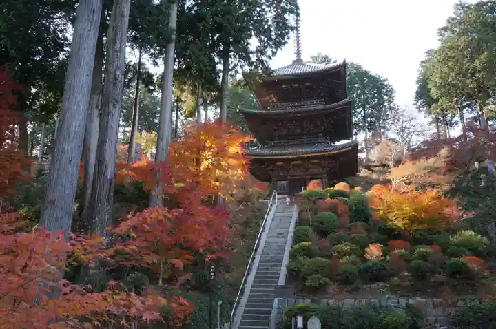 常樂寺(滋賀県)
