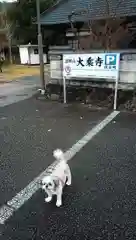 大乗寺の動物