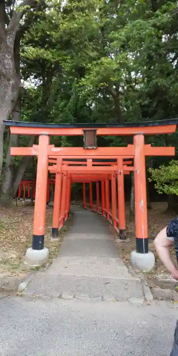 橿原神宮(奈良県)