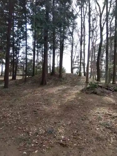十社神社(埼玉県)
