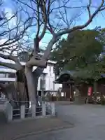 阿邪訶根神社(福島県)