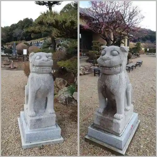 萬福寺の狛犬