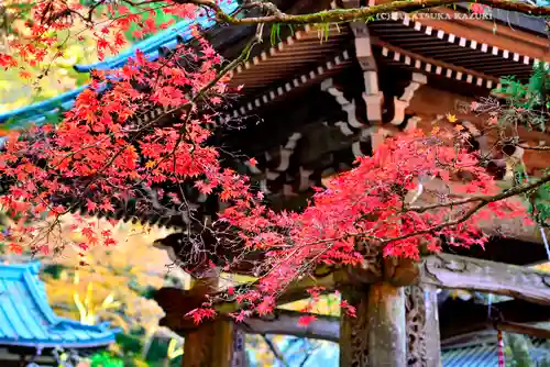 最乗寺（道了尊）(神奈川県)