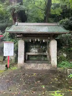 柞原八幡宮(大分県)