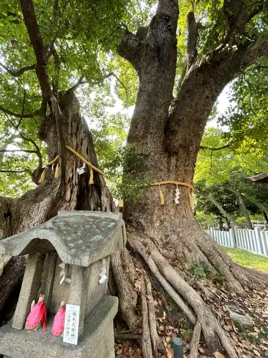 信太森神社(葛葉稲荷神社)の自然