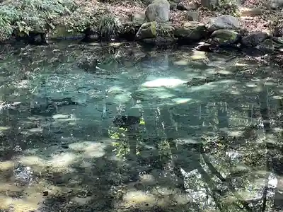 泉神社(茨城県)