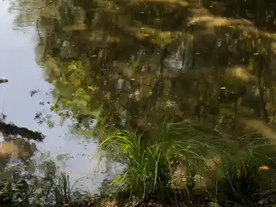 熊野神社の自然