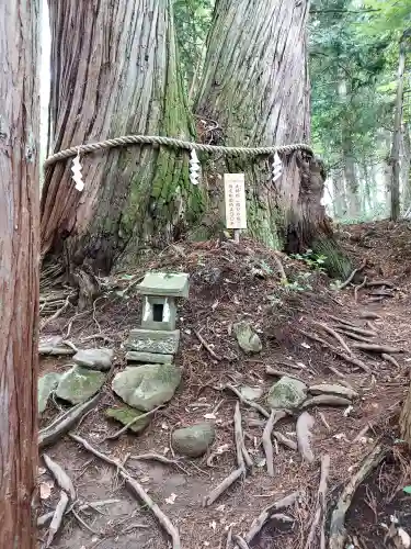 戸隠神社火之御子社の{uncategorized: "未分類", other: "その他", undefined: "問題あり", building: "その他建物", grave: "お墓", sacred_gate: "鳥居", guardian: "狛犬", statue: "像", buddha: "仏像", history: "歴史", nature: "自然", garden: "庭園", animal: "動物", pagoda: "塔", temizu: "手水舎", mountain_gate: "山門・神門", sanctuary: "本殿・本堂", subordinate: "末社・摂社", art: "芸術", scenery: "景色", jizo: "地蔵", ema: "絵馬", goshuin: "御朱印", omikuji: "おみくじ", items: "授与品その他", amulet: "お守り", goshuincho: "御朱印帳", eats: "食事", festival: "お祭り", votive_dance: "神楽", shichigosan: "七五三参", wedding: "結婚式", experience: "体験その他", initially: "初詣", around: "周辺", anti_infection: "感染症対策"}