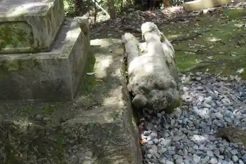 須須神社の狛犬